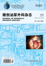 微创泌尿外科杂志.jpg