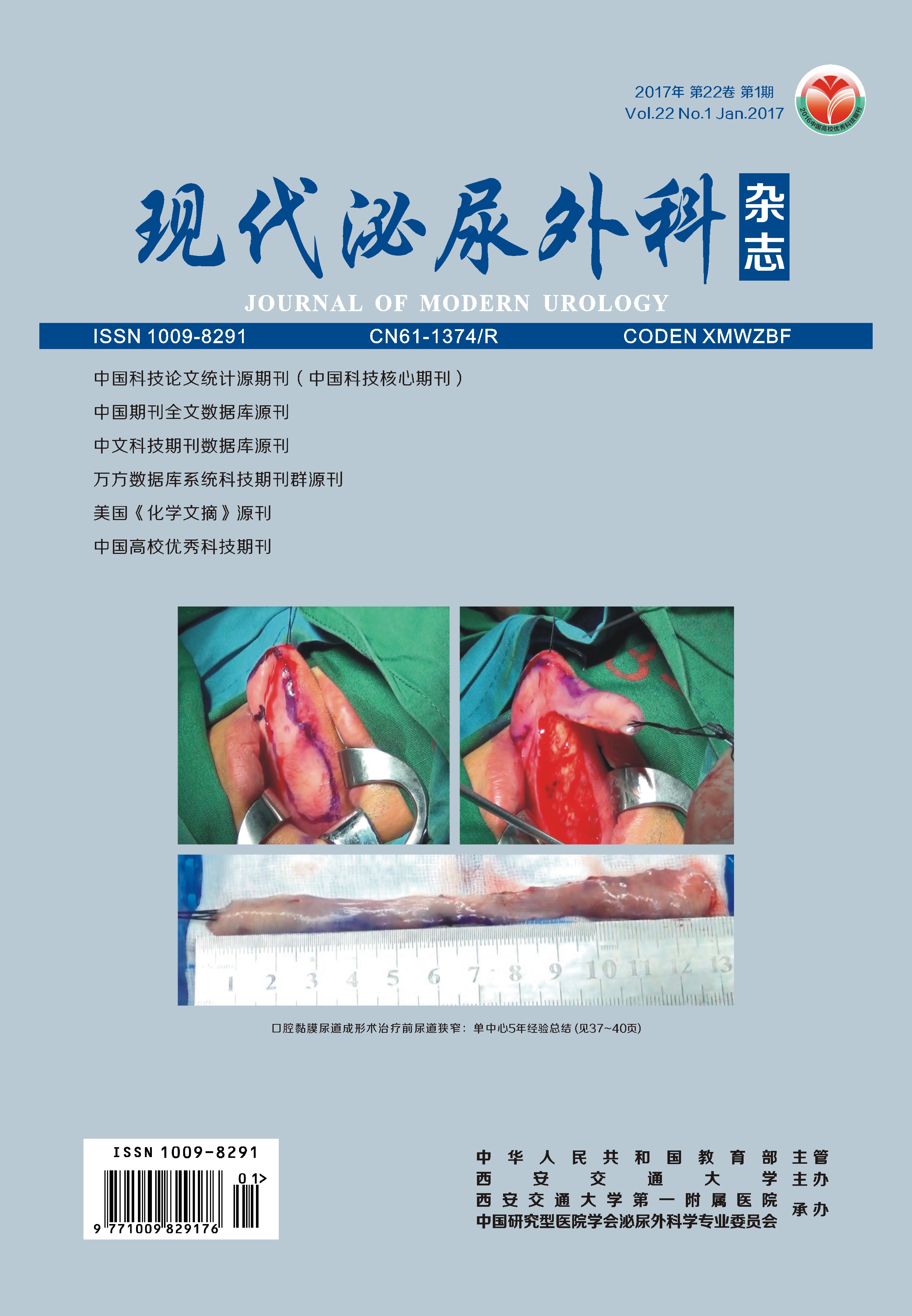 现代泌尿外科杂志.jpg